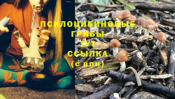 jwh Россошь